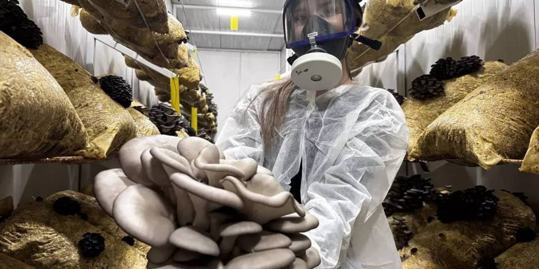 Genç girişimci üretiyor, 12 ay ürün alıyor: Zamanla ihracata geçmeyi hedefliyor 5